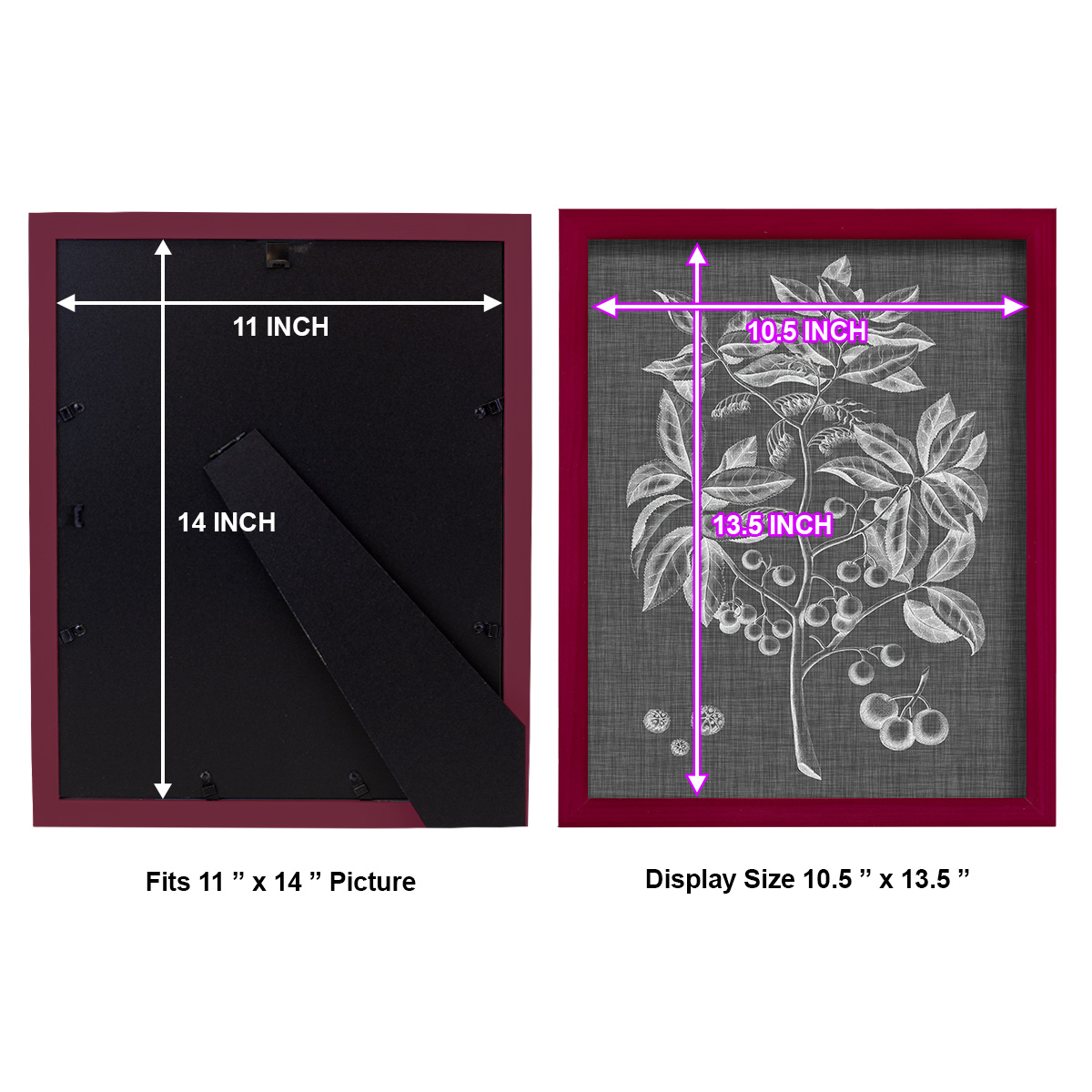 Graphic Foliage VI - Framed Print w/glass - Cherry Red