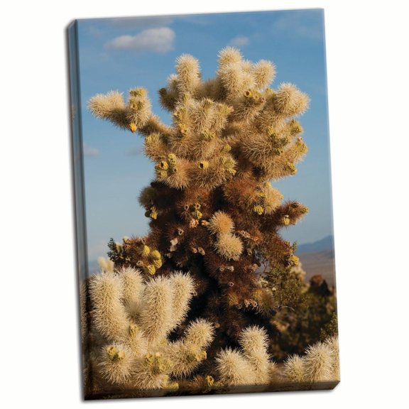 Gango Home Decor Cholla Cactus II by Erin Berzel (Ready to Hang); One 24x36in Hand-Stretched Canvas