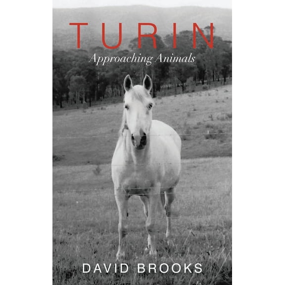 Turin: Approaching Animals, (Paperback)