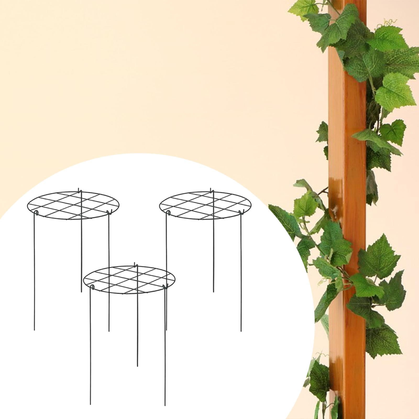 oshhni 3 Pieces Peony Cages and Supports Metal for Hydrangea Vegetables Tall Plants Grids