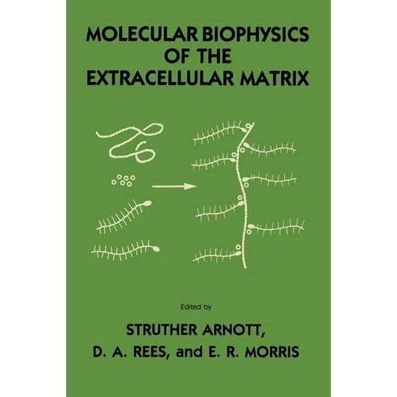 Molecular Biophysics of the Extracellular Matrix, (Paperback)