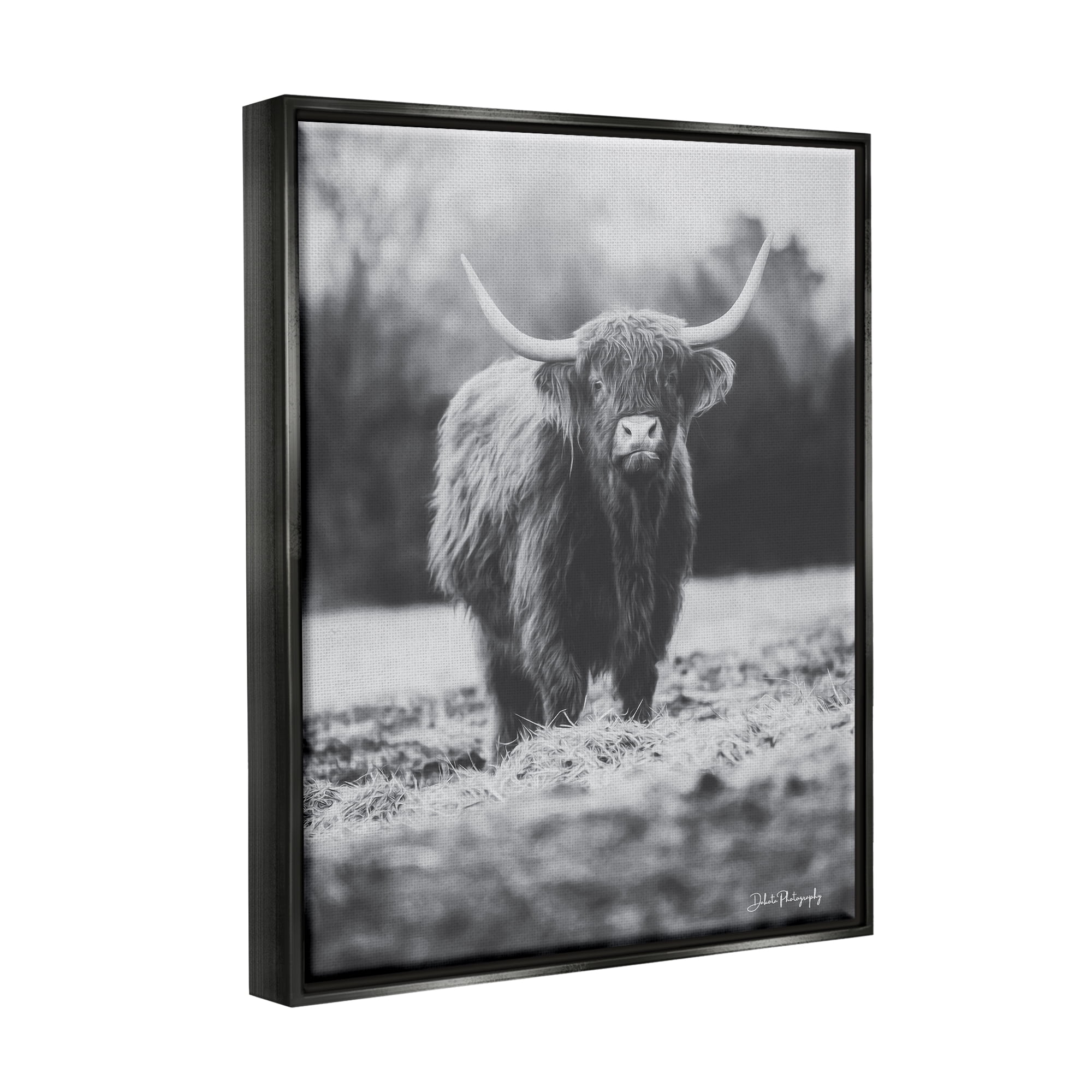 Stupell Grazing Cattle Farmhouse Photography Animals & Insects Photography Black Floater Framed Art Print Wall Art