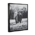 thumbnail image 3 of Stupell Grazing Cattle Farmhouse Photography Animals & Insects Photography Black Floater Framed Art Print Wall Art, 3 of 6