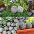 thumbnail image 5 of Ckraxd Resin Paving Stones for Succulent Pots 20pcs, Lightweight Decorative Landscaping Rocks for Fish Tanks and Home Decor, 5 of 9