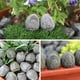 thumbnail image 5 of Xihbxyly Adoquines de Resina, Marrón Claro con Lunares Blancos, Piedras Decorativas para Paisajismo, Diseño de Textura Único, Uso Multifuncional para Macetas o Escritorios, Fácil de Limpiar, Juego de, 5 of 7