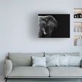 thumbnail image 2 of Canvas Wall Art - WildPhotoArt  'Elephant' Wall Art for Living Room, Bedroom, or Office Décor by Trademark Fine Art - 24 x 18 Inches, 2 of 4