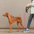 thumbnail image 6 of Rope Dog Leash 5ft Long,Traffic Padded Two Handle,Heavy Duty,Reflective Double Handles Lead for Control Safety Training,Leashes for Large Dogs or Medium Dogs,Dual Handles Leads, 6 of 6