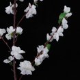 thumbnail image 3 of Flores De Melocotón De Seda Artificial Flores De Melocotón Falsas Para Interiores Y Exteriores Para Bodas Decoración De Restaurante - blanco, tal se describe Sunnimix Flores artificiales de durazno, 3 of 8