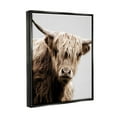 thumbnail image 4 of Stupell Industries Wooly Cattle Portrait Animals & Insects Photography Black Floater Framed Canvas Art Print Wall Art, 25 x 31, 4 of 10
