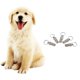 thumbnail image 2 of 2x 5x Etiquetas de Identificación de Mascotas Etiquetas de Nombre de Perro Personalizado Colgante Anti, 2 of 9