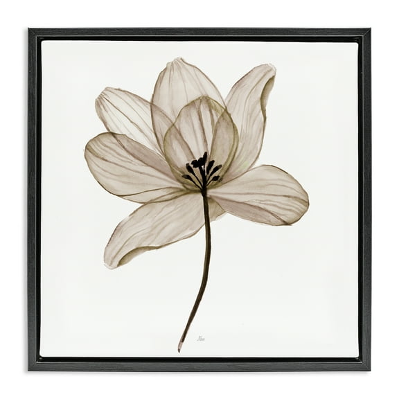 Stupell Industries Beige Opaque Flower Plants & Flowers Painting Black Floater Framed Canvas Art Print Wall Art, 18 x 18