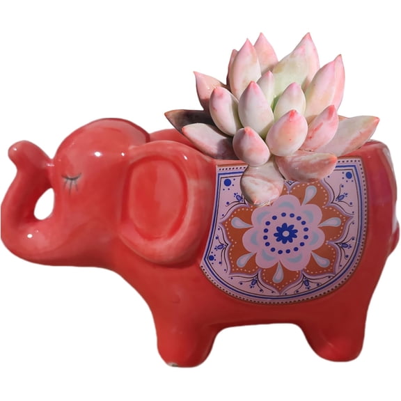 Cute Animal Elephant Shaped Ceramic Succulent Cactus Air Plant Flower Pots Planters-Plant Not Included (Red)