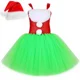 thumbnail image 3 of Disfraz de Grinch para niños, conjunto de vestido tutú de Papá Noel de Navidad, disfraces de monstruo peludo verde para niñas pequeñas, ropa de fiesta de Navidad de Halloween, 3 of 5