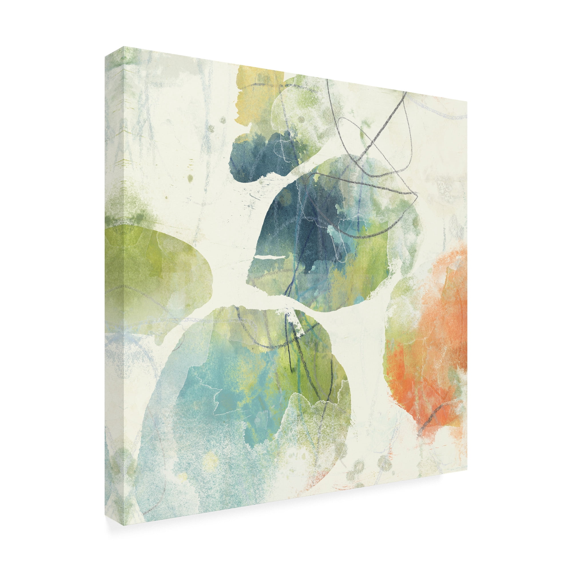 Trademark Fine Art 'Color Motion Ii' Canvas Art by June Erica Vess