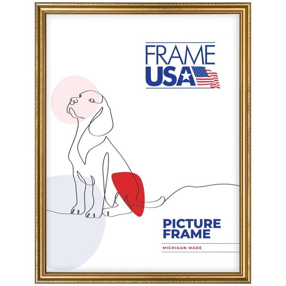 American Value Medium Gold 18x24 Inch Picture Frame