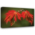 thumbnail image 1 of Vitaly Geyman 44x31 Gallery Wrapped Canvas Wall Art Titled - Maple Leaf Portrait V, 1 of 4