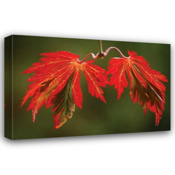 Vitaly Geyman 44x31 Gallery Wrapped Canvas Wall Art Titled - Maple Leaf Portrait V