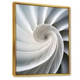 thumbnail image 2 of Designart "Infinite Ivory Seashell Spiral I" Nautilus Floater Framed Canvas Prints, 2 of 5