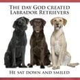 thumbnail image 3 of CafePress - Creation Of Labs T Shirt - Mens Comfort Colors Shirt, 3 of 5