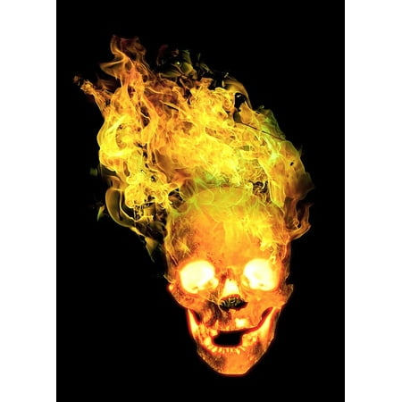 Flaming Skull Head Canvas Print Flame Head Skull Bone Fire Skull and Crossbones Stretched Canvas 10 x 14 ()