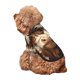 thumbnail image 5 of Fotbe Butterfly Cow Barrel Sudadera con Estampado para Perros Pequeños – Suéter con Capucha para Mascotas, Tela Suave de Forro Polar con Bolsillo-Large, 5 of 7