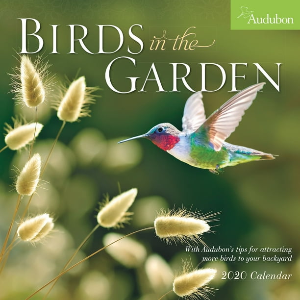 Audubon Birds in the Garden Wall Calendar 2020 - Walmart.com - Walmart.com