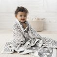 thumbnail image 4 of Aden + Anais Silky Soft Bamboo Dream Blanket - In Motion, 4 of 4