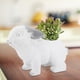 thumbnail image 5 of Maceta gris para cactus y suculentas con encanto único para jardín, maceta con personalidad en forma de conejo, 5 of 8