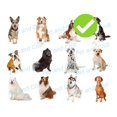 thumbnail image 3 of Advantix Bayer De 10-25kg Pipeta Contra Garrapatas Y Pulgas Bayer Pipeta, 3 of 3