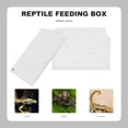 thumbnail image 1 of WASHWEPE De Alimentación Para Reptiles Con Antiescape Y Espacio Cómodo, 1 of 7