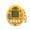 Yellow, variant on Game Console Toy Electronic Pets Game Toy Cartoon Print Portable Battery-operated Virtual Digital Pixel Animals Toys Kid