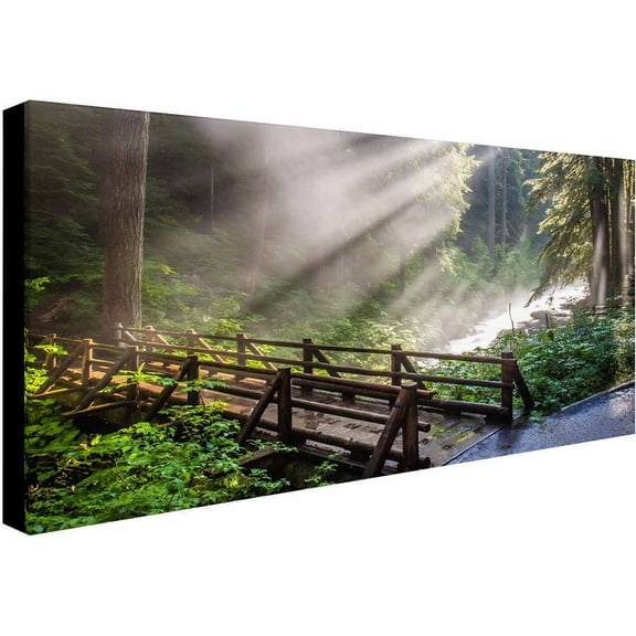 Trademark Fine Art "Forest Sunlight" Canvas Art by Pierre Leclerc