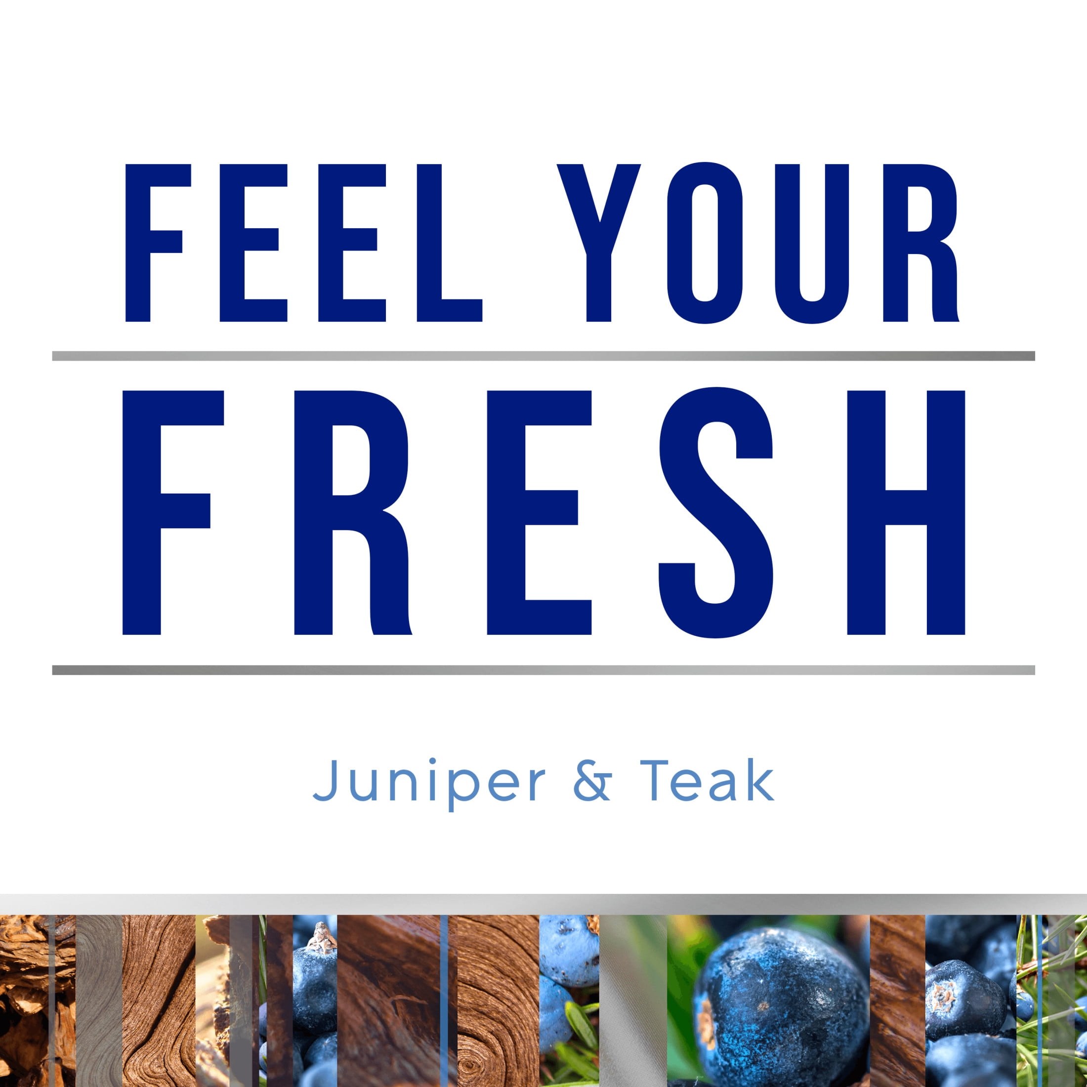 (5 pack) Glade PlugIns Scented Oil Refills, Air freshener, Juniper & Teak, Infused with Essential Oils, 0.67 oz, 5 Count