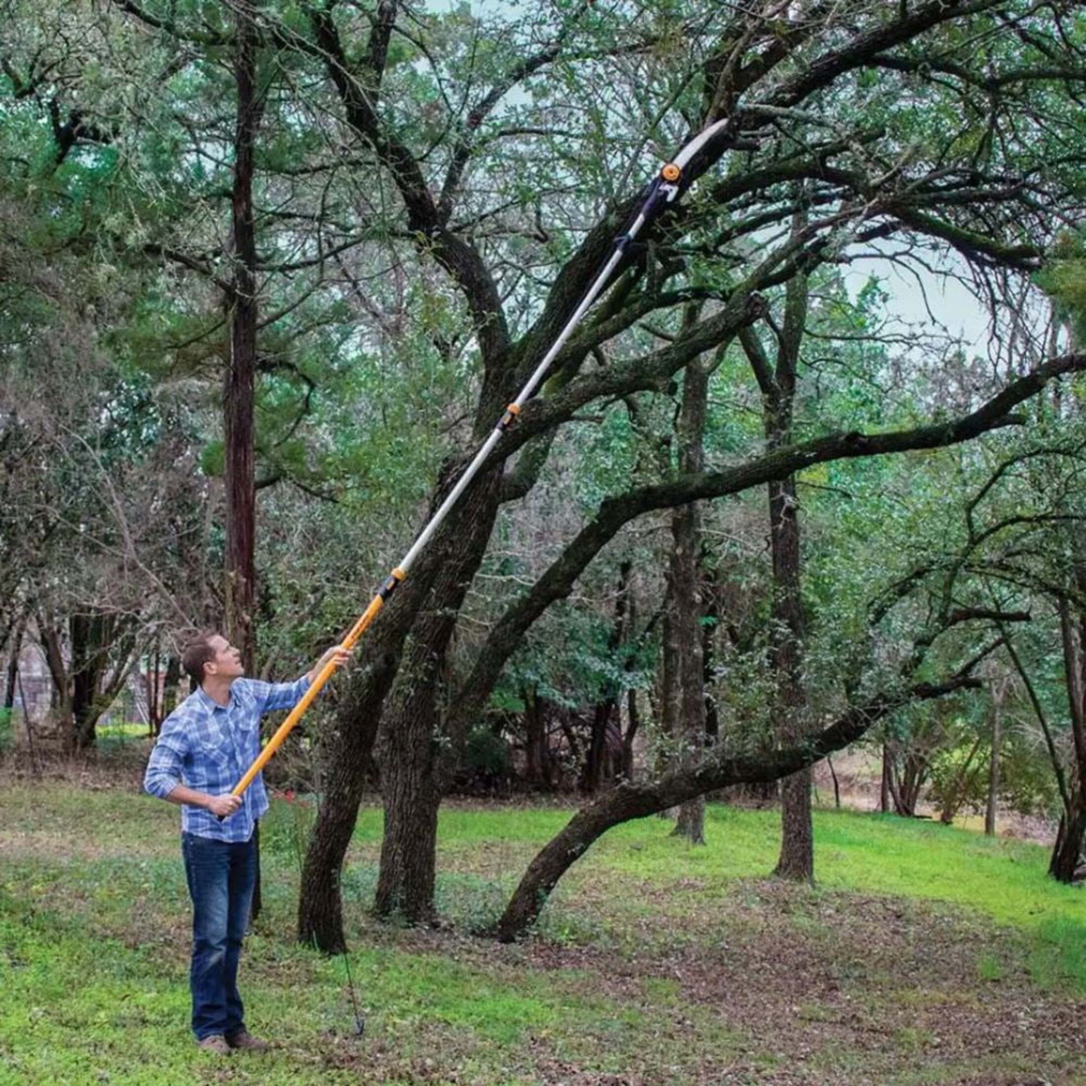 Fiskars 7'-16' Chain-Drive Extendable Tree Pruner and Pole Saw - Cuts up to 1.25" Diameter