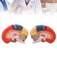 View all media