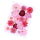 thumbnail image 4 of Wosthever Flores secas Flores prensadas Decoraciones florales Hermosos accesorios de bricolaje Artículos para el hogar para tarjetas de boda flor roja flor roja 5piezas Wosthever CBP225325, 4 of 4