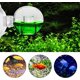 thumbnail image 5 of Probador de CO2 para acuario, 2 piezas Comprobador de caída de CO2, Probador de CO2 para acuario, Probador de pecera Kit de CO2 Accesorios de acuario para plantas de acuario JM, 5 of 5