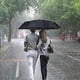 thumbnail image 3 of 2 Pack Travel Umbrellas Windproof 10 Rib Self Opening Foldable Folding Compact Umbrella, 3 of 4