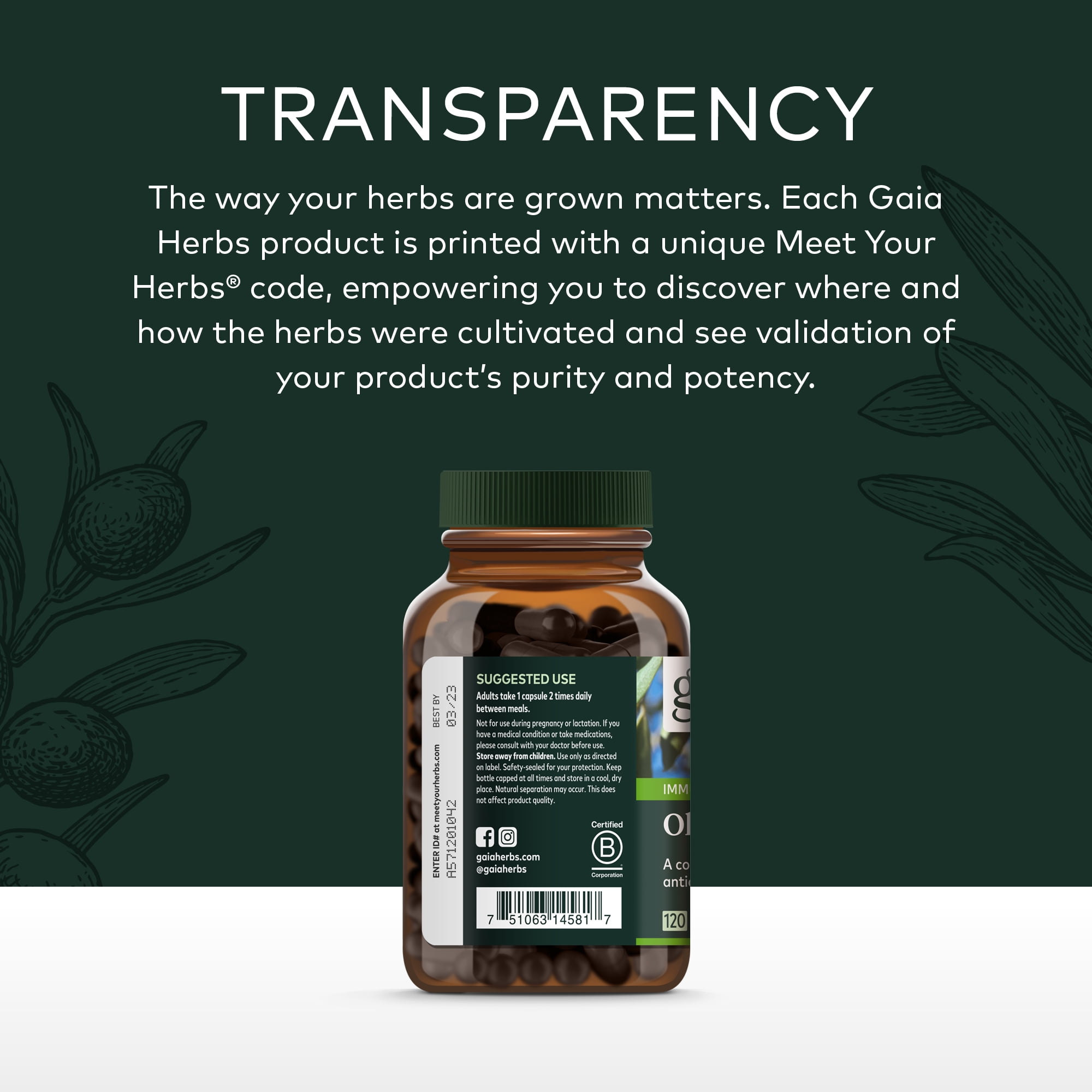 2023 Healthy Living Gift Guide for Men: Gaia Herbs®