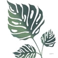 thumbnail image 3 of Thorns, Becky 20x20 Black Modern Framed Museum Art Print Titled - Monstera IV White, 3 of 5