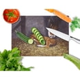 thumbnail image 2 of Horse and Her Foal Glass Cutting Board Large, 2 of 2