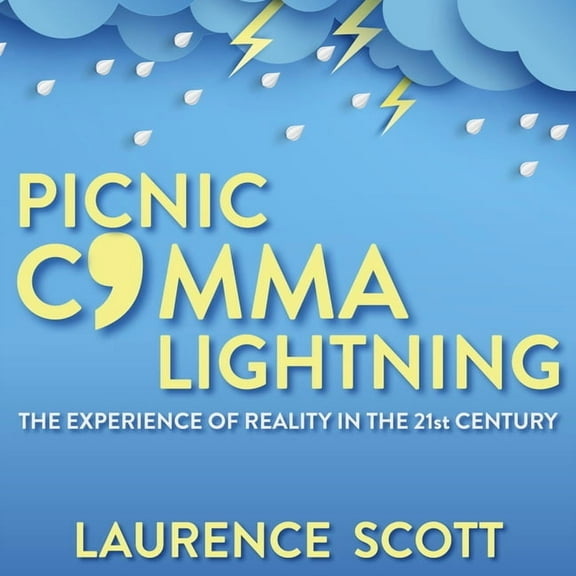Picnic Comma Lightning: The Experience of Reality in the Twenty-First Century (Audiobook)