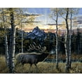 thumbnail image 2 of Tift, Jeff 14x12 Gold Ornate Wood Framed with Double Matting Museum Art Print Titled - Dawn Of Light, 2 of 4