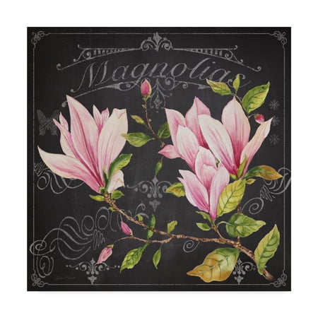 Trademark Fine Art 'Magnolias 1' Canvas Art by Jean Plout