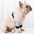 thumbnail image 5 of Tineer Dog Recovery Sleeve Protector Front Legs Joint Soft Padded Dog Brace Sleeve Pet Dog Leg Wounds Protection for Small Medium Dogs(S), 5 of 7