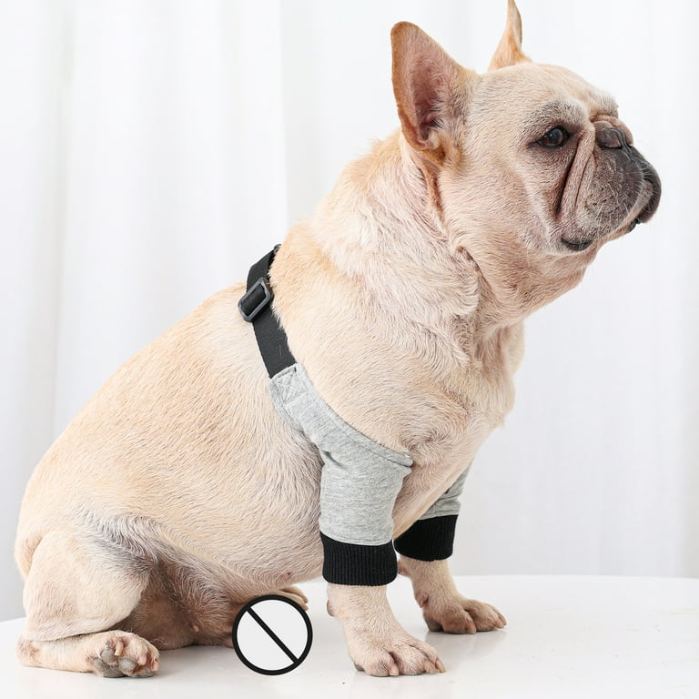 Dog Front Leg Sleeve Prevent Licking Warm and Protects Helps Prevent  Sprains