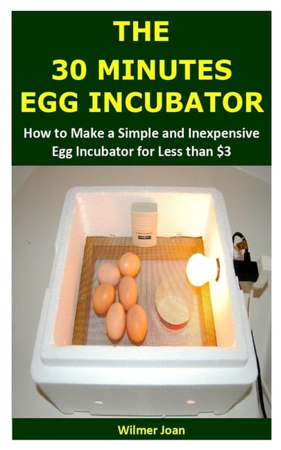 homemade egg incubator temperature