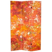 6 ft. Tall Double Sided Transcendence Canvas Room Divider