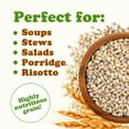 thumbnail image 6 of Pearled Barley, 6 Pounds — Kosher, Vegan, Raw — by Food to Live, 6 of 8