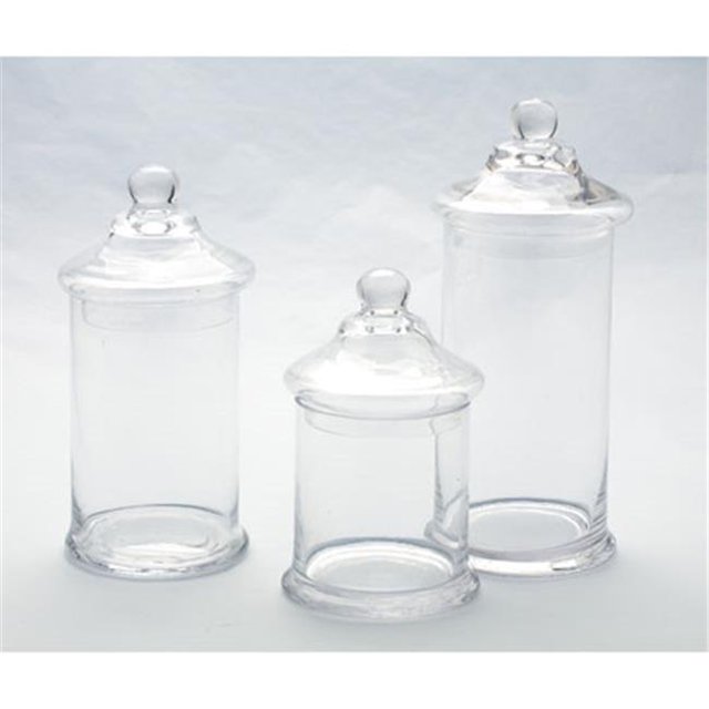 11 x 5 in. Glass Jar with Lid Set, Clear
